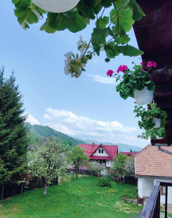 Voinescu House - Natural Living & Eating 시몬 외부 사진